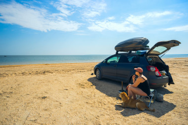 女人和狗坐在附近的汽車