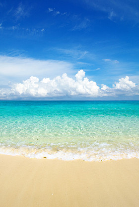 海滩和热带海