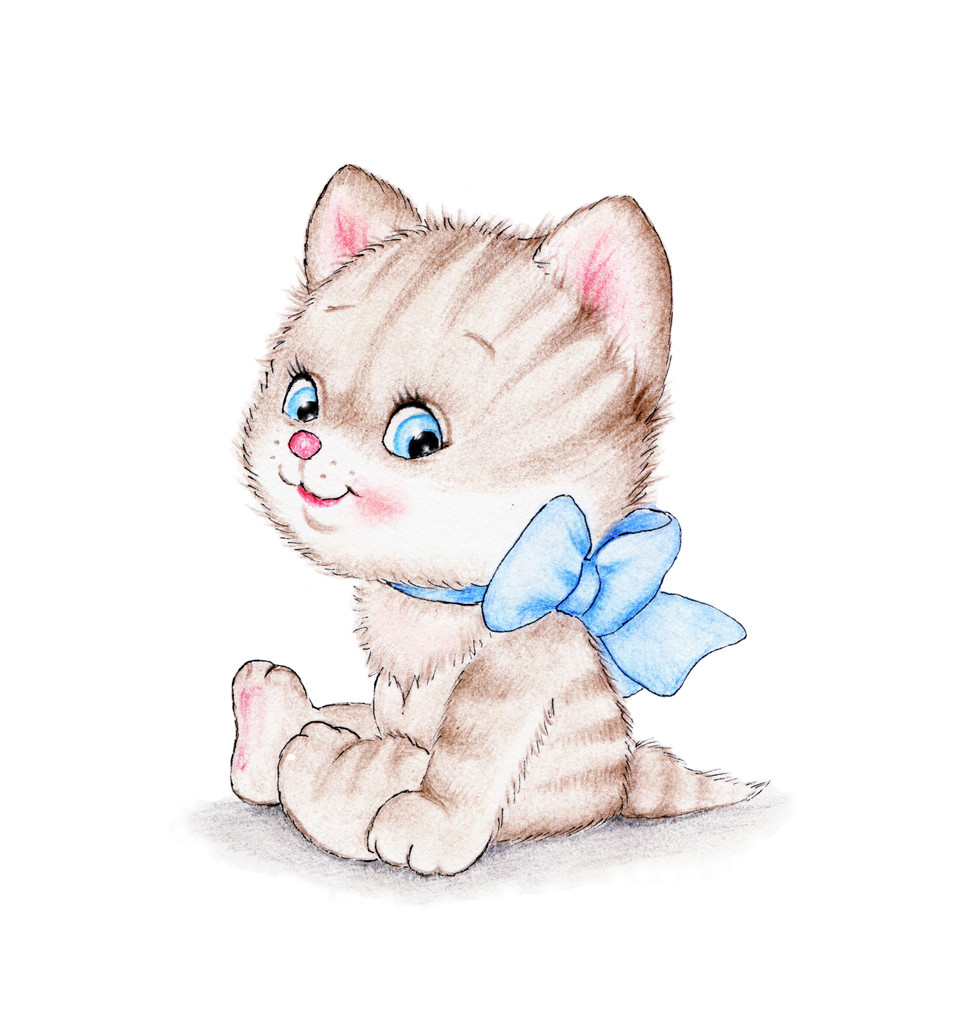 蓝色蝴蝶结的可爱小猫 蓝色蝴蝶结的可爱小猫