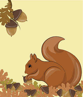 松鼠在阿甘秋背景