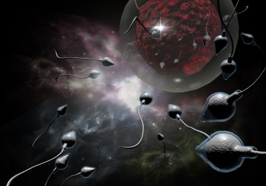 精子和卵子照片