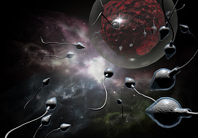 精子和卵子照片