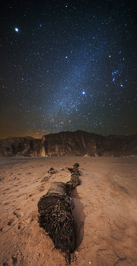 美丽的夜晚，在沙漠中图片