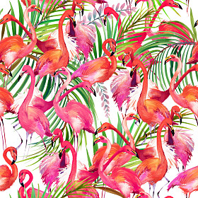 水彩的火烈鸟鸟。火烈鸟和热带自然水彩图案火烈鸟鸟背景