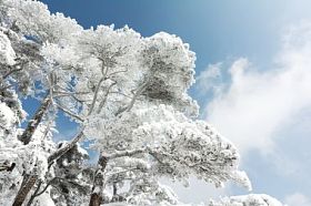 黄山山冬季的雪场景