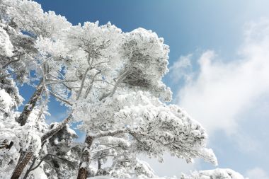 黄山山冬季的雪场景