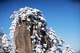 黄山山冬季的雪场景图片