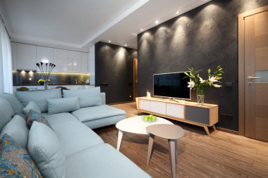 內(nèi)政-客廳圖片