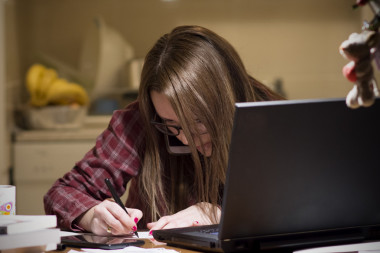 家庭主妇网上付账图片