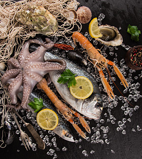 新鲜的海鲜，在黑色的石头.图片