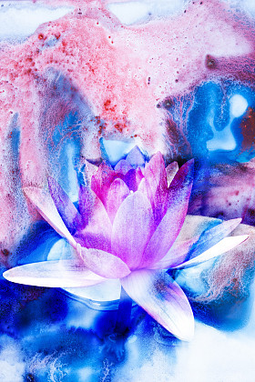 花水彩插图.图片