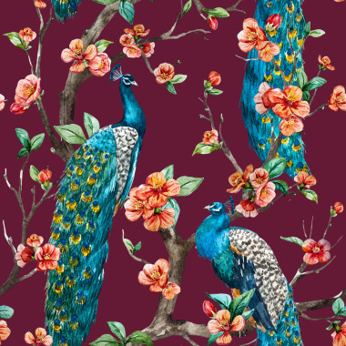 水彩光柵的孔雀圖案圖片