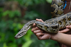 Python图片