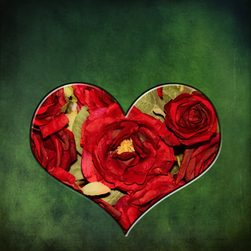 心的形状，在绿色背景下的红玫瑰
