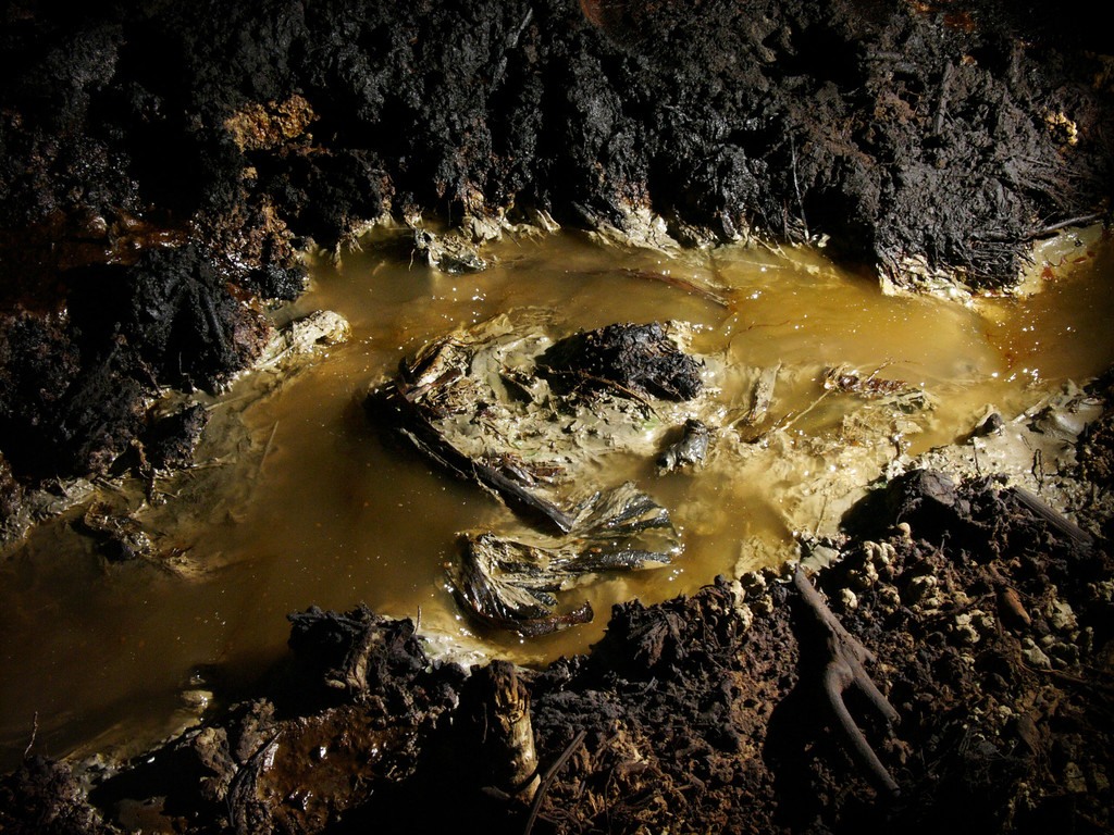 致癌的原油污染产生的非法石油开采污染土壤和水在印度尼西亚东爪哇 致癌的原油污染产生的非法石油开采污染土壤和水在印度尼西亚东爪哇
