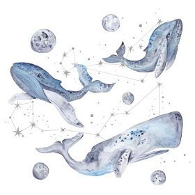 鲸鱼与星星的水彩插图图片