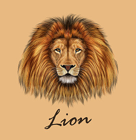 蛇狩猎在草照片