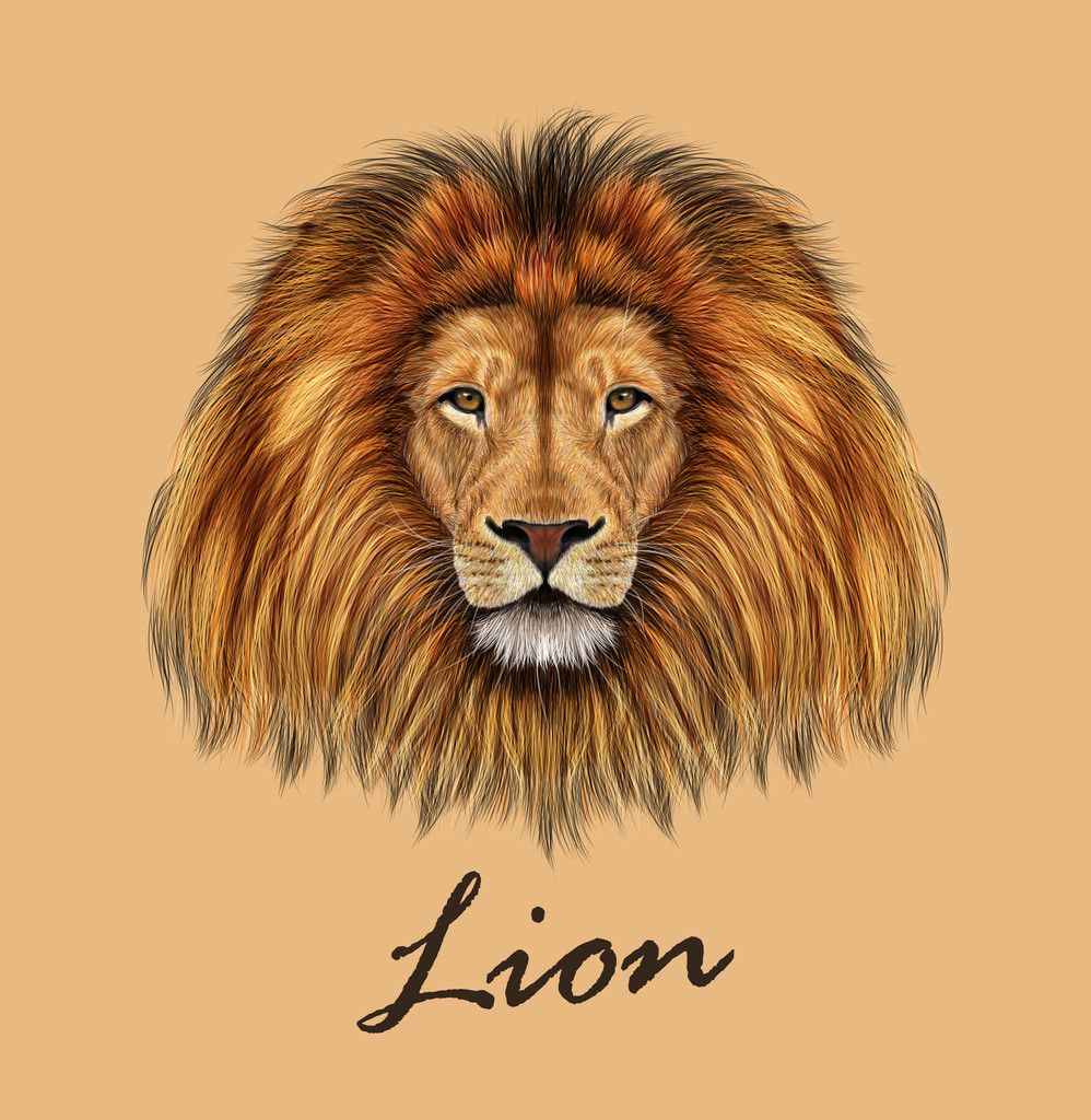 蛇狩猎在草照片