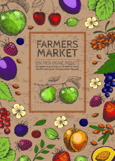 水果和浆果的老式农场徽标