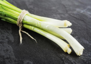 黑石頭上的綠洋蔥