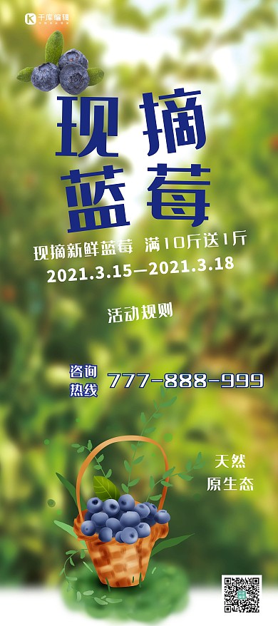 促销现摘蓝莓绿色简约展架