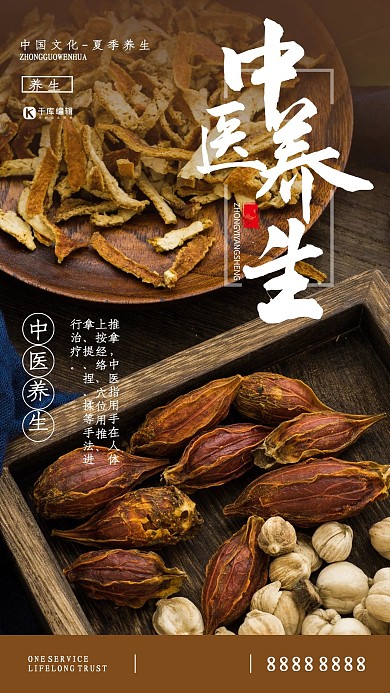 医疗健康中医养生药材暖色系简