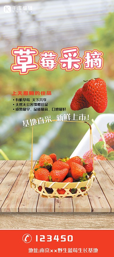 水果促销草莓采摘红色简约展架