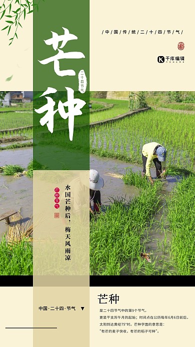 芒种节气农田绿色简约海报