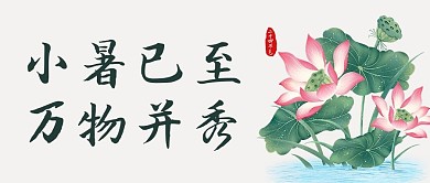 小暑荷花绿色简约公众号首图