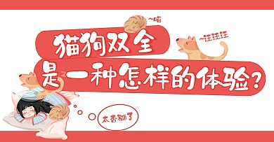 宠物类红色可爱风宠物日常公众号封面图