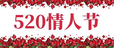 520红色玫瑰花简约情人节公众