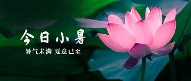 夏日荷花鲜花夏天墨绿色中国风公众号首图