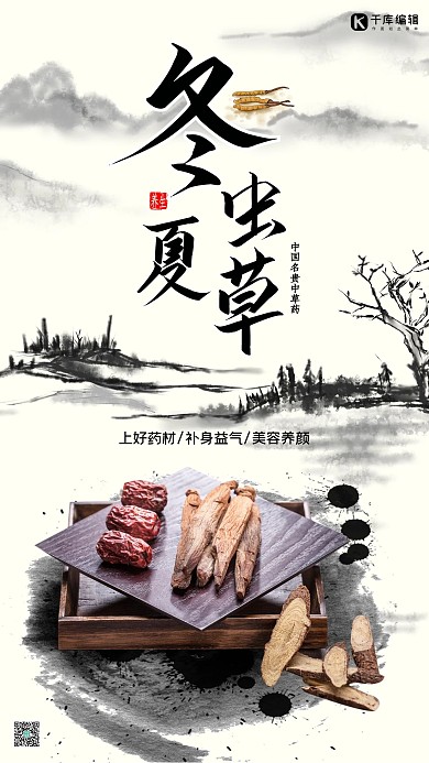 冬虫夏草虫草白色水墨中国风海报