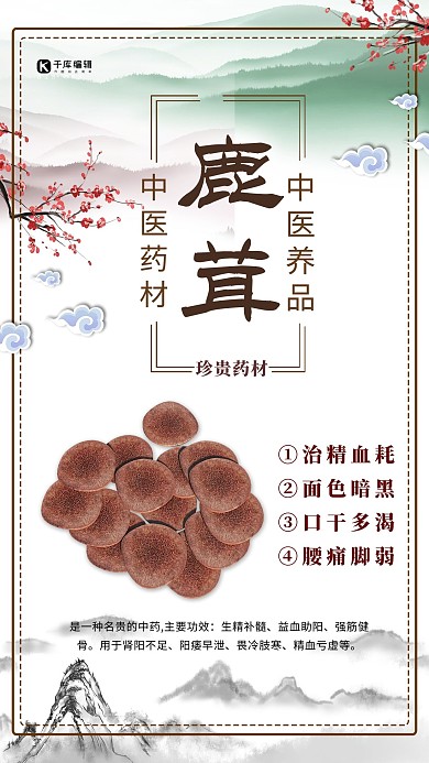 医疗保健鹿茸白色中国风海报