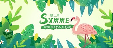 清新植物公众号首图头图