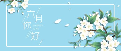 春夏植物公众号首图头图banner