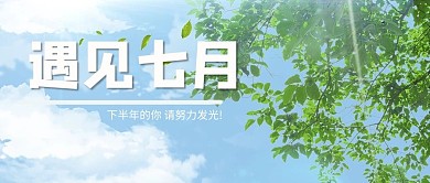 夏天树叶蓝色 绿色简约公众号首图