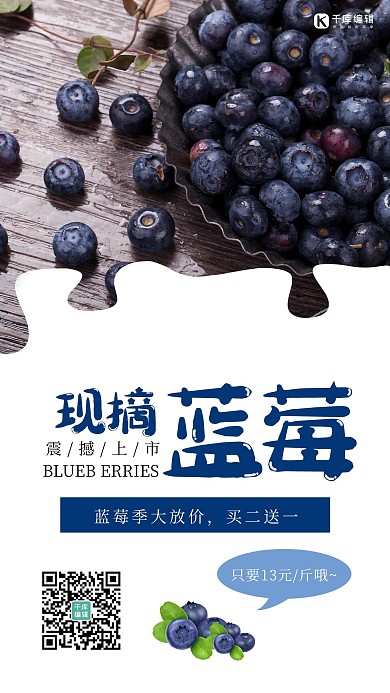 水果促销蓝莓蓝色营销海报