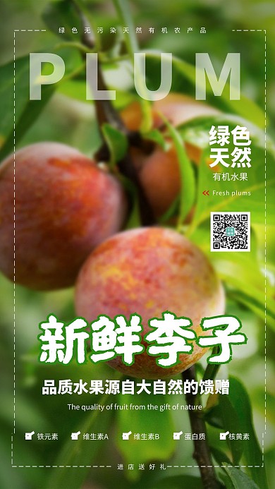 新鲜李子水果绿色调小清新风格海报