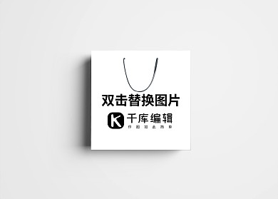 时尚手提纸袋子展示样机