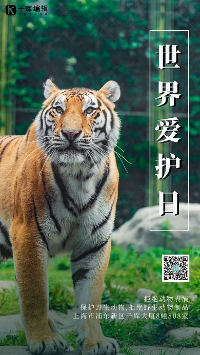世界爱虎日老虎动物园绿色渐变手机海报