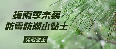梅雨季来袭防霉防潮小贴士彩色简约公众号首图