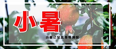 小暑石榴绿色写实公众号首图
