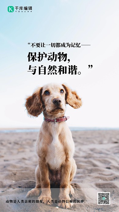 善待动物小狗蓝色简约海报