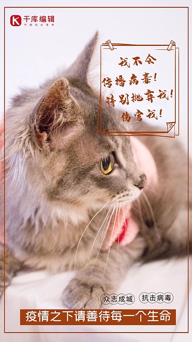 善待生命善待动物宠物动物浅色系简约海报