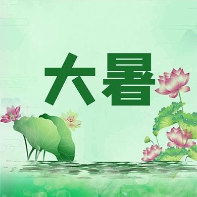 大暑荷花绿色简约公众号次图