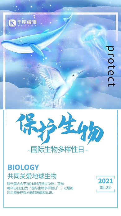 国际生物多样性日蓝色唯美海报