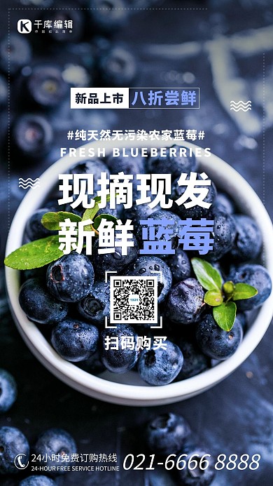新鲜蓝莓水果蓝色调简约风格海报