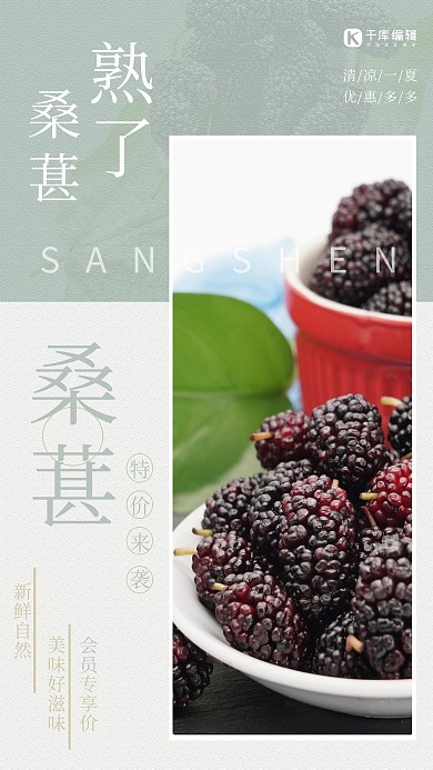 水果促销桑葚特价绿色清新风海报