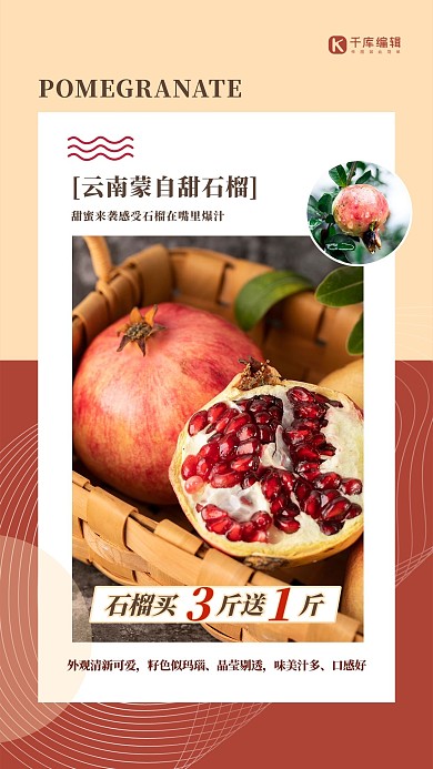 水果促销石榴红色简约海报
